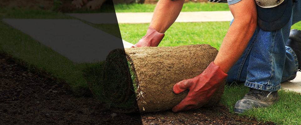 White Bluff Landscapers